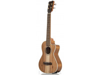 APC TC CW Clássico Cutaway APC TC CW Clássico Cutaway